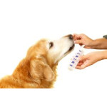 Dog Supplement 補充劑